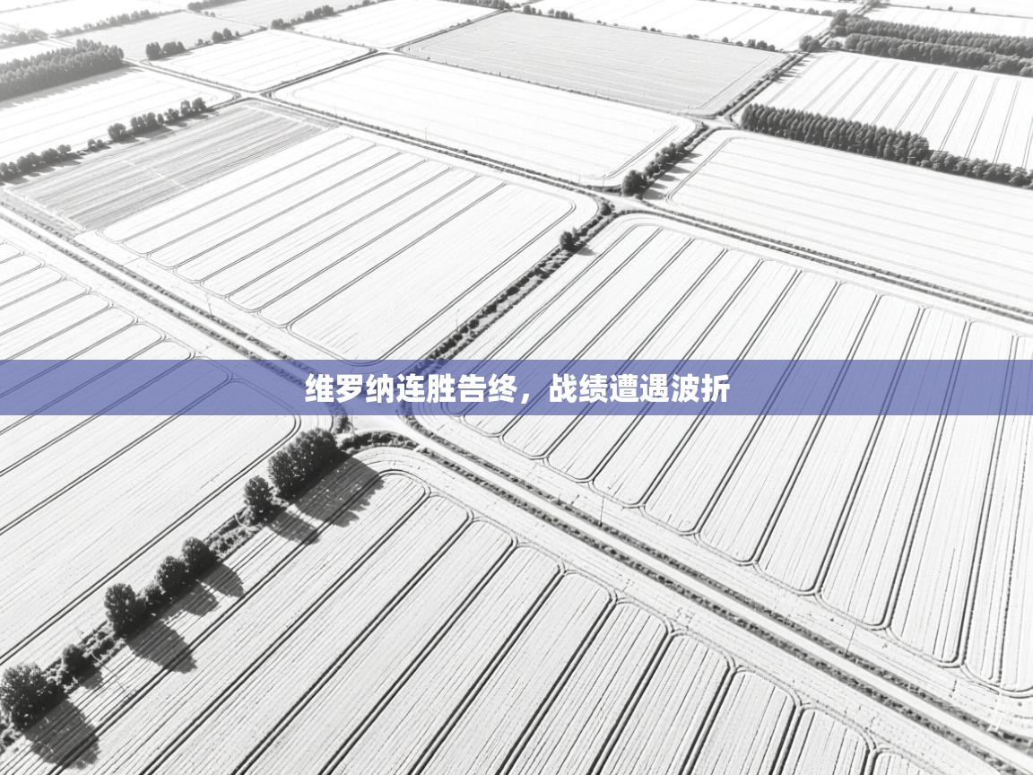 维罗纳连胜告终，战绩遭遇波折  第2张