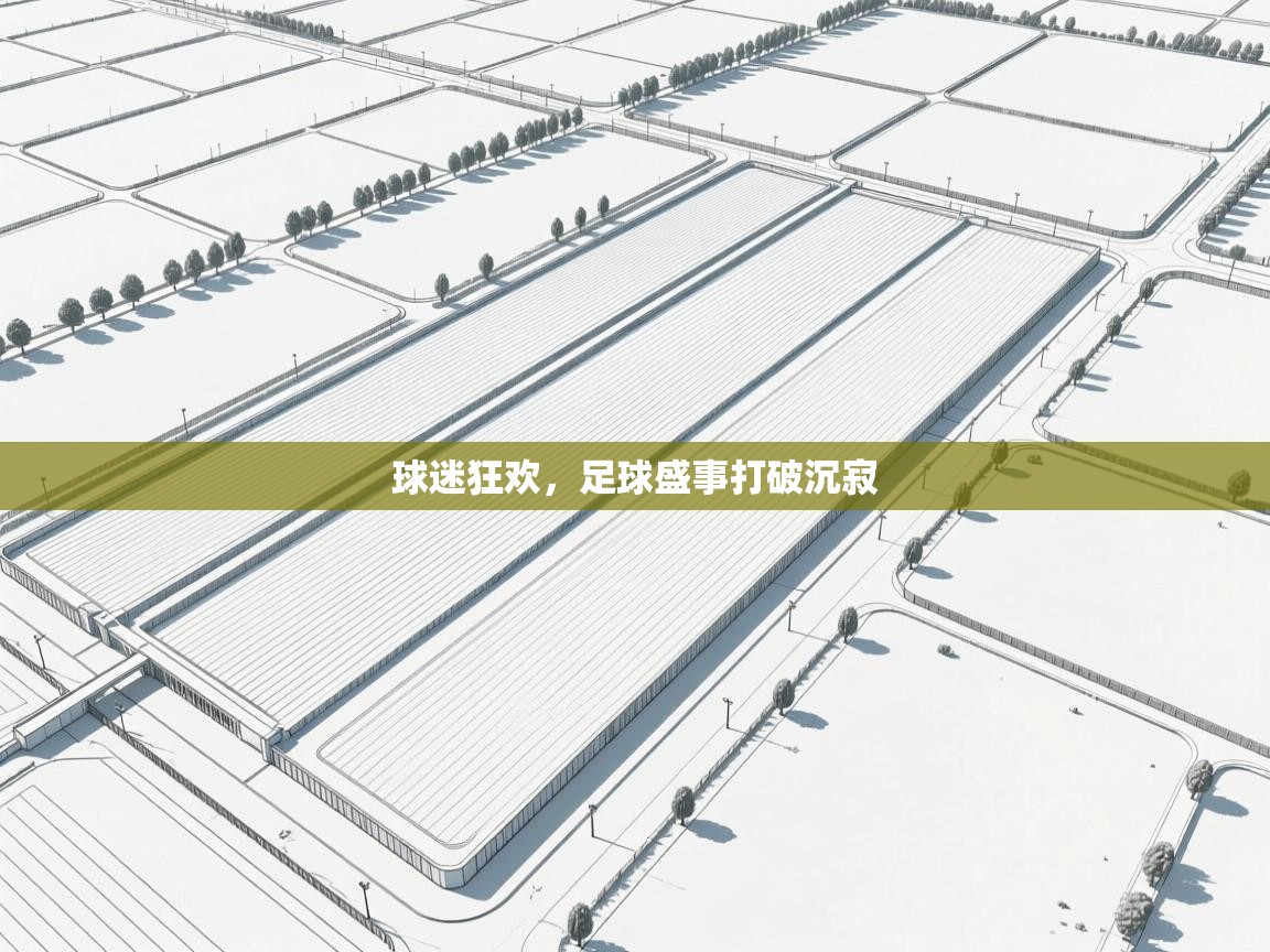 球迷狂欢，足球盛事打破沉寂  第1张