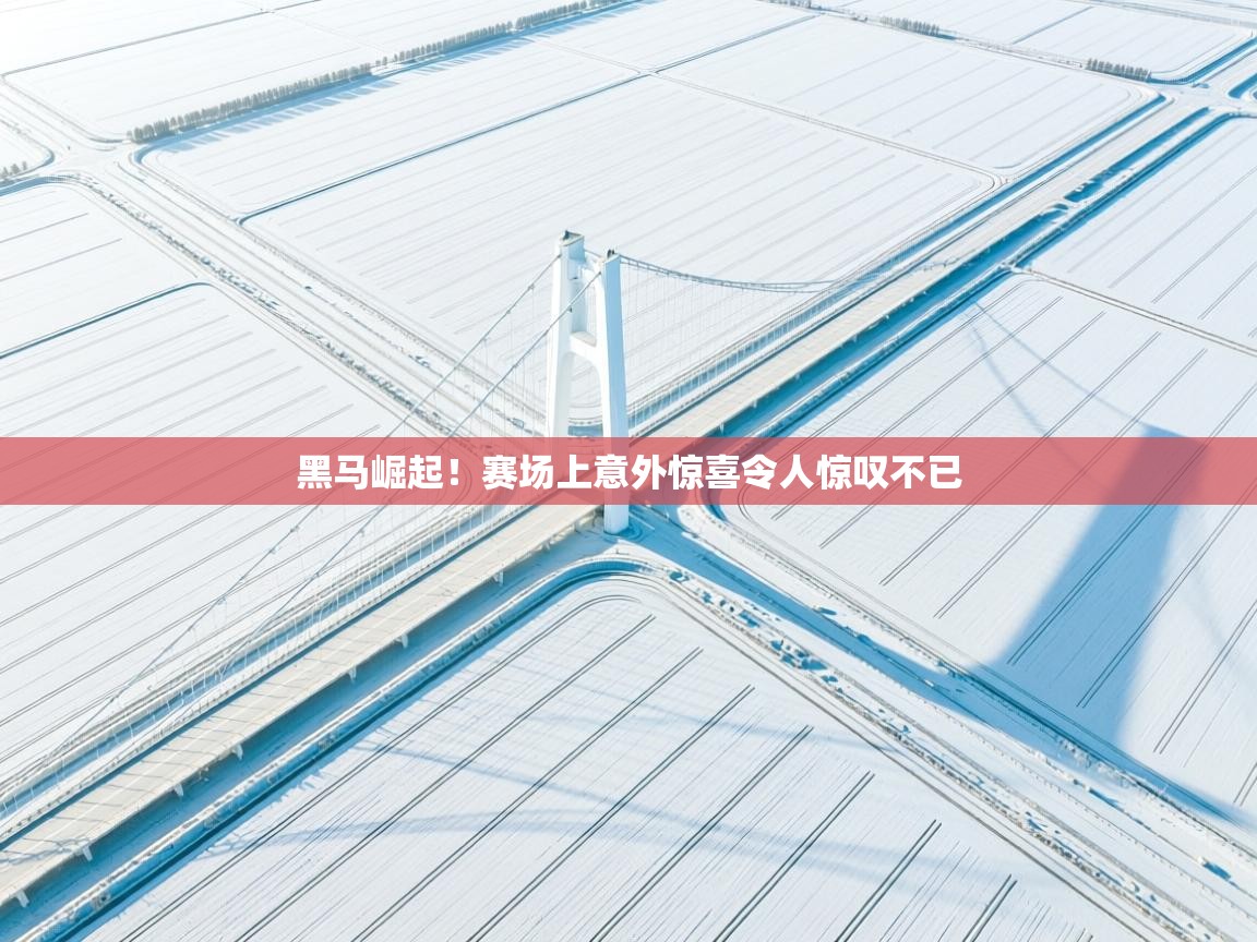 黑马崛起!赛场上意外惊喜令人惊叹不已 第1张