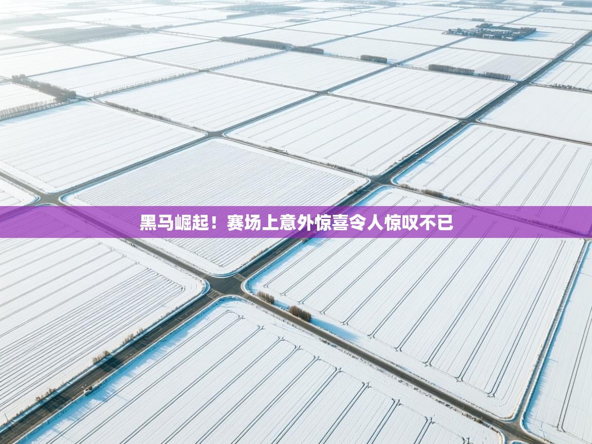 黑马崛起!赛场上意外惊喜令人惊叹不已 第2张