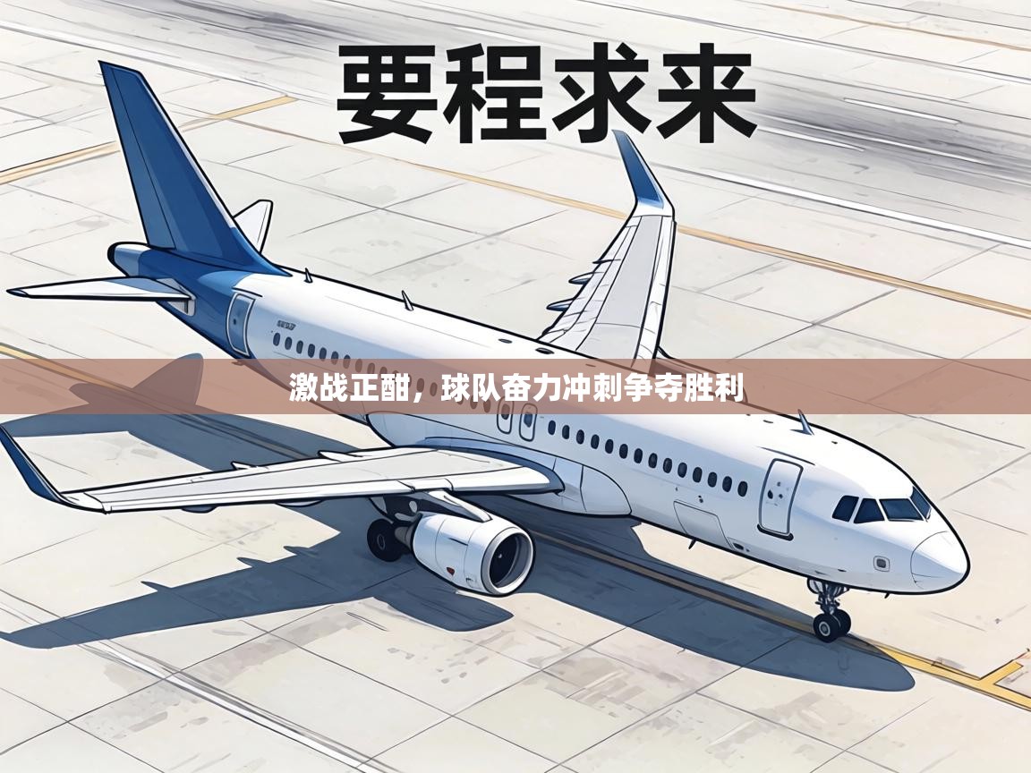 激战正酣,球队奋力冲刺争夺胜利 第2张